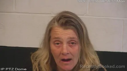 Mugshot of Wendy Lyn Curtis