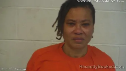 Mugshot of Wilena Nacole Powe