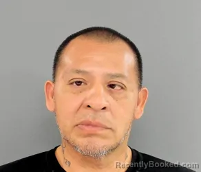 Mugshot of DARREL W MINGO