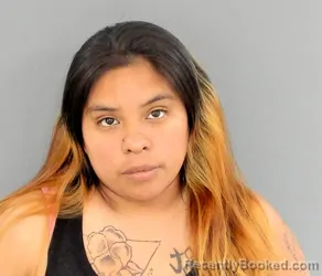 Mugshot of LEANDRA ERICA SAM