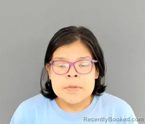 Mugshot of SANTANA MERCADES AGURRIE