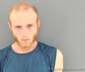 Mugshot of ROBERT FLANAGAN