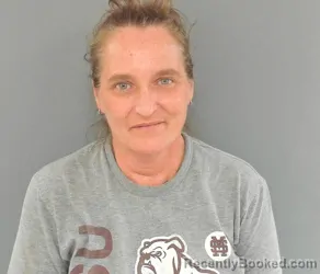 Mugshot of MELISSA LYNN BROWN