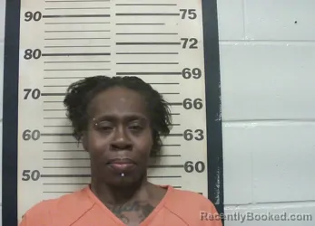 Mugshot of KRISTI MICHELLE BROWN