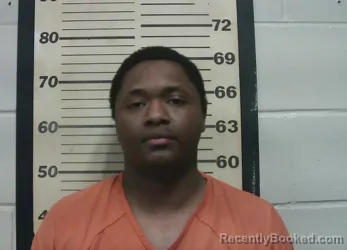 Mugshot of RODNEY MAXWELL JENKINS