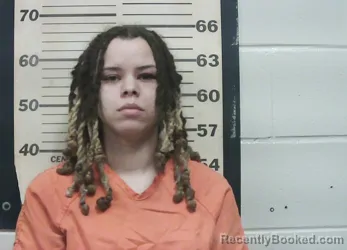 Mugshot of CAYLA DAWN WILSON