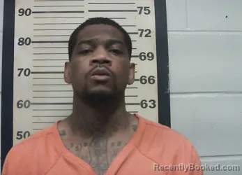 Mugshot of JARMAN PERNELL HARALSON