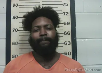 Mugshot of JAMETRI EARL JOHNSON