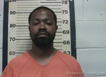 Mugshot of TERRION RENARDO YOUNG