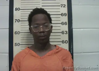 Mugshot of IVON TERRELL RICHARDSON