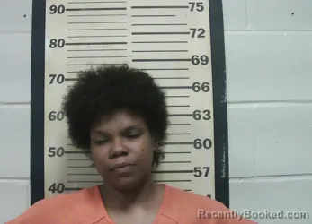 Mugshot of APRIL SHALEIGH TRIPLETT booked in Oktibbeha County, Mississippi on April 2, 2026