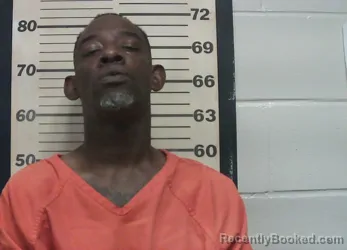 Mugshot of JAMES LEWIS COLLIER