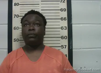Mugshot of EBONEE SHANICE HINTON booked in Oktibbeha County, Mississippi on April 24, 2026