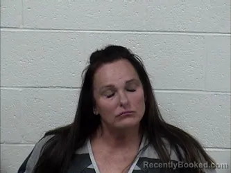 Mugshot of LISA BRYANT LANGLEY
