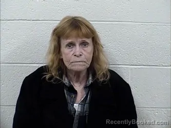 Mugshot of LISA BIRDSONG HALE