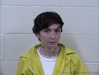 Mugshot of BRITTANY DAWN HOLLY
