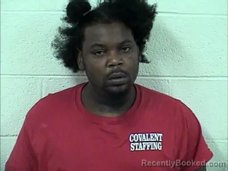 Mugshot of JEREMY KENDALL ELLIS booked in Panola County, Mississippi on March 29, 2026