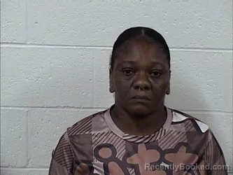 Mugshot of ROBIN DENISE OLIVER booked in Panola County, Mississippi on April 4, 2026