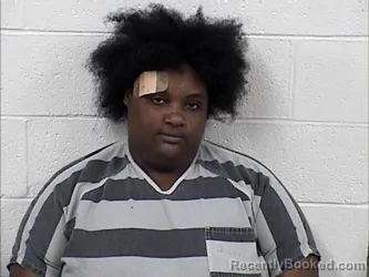 Mugshot of JULIA LASHELLE WILLIAMS booked in Panola County, Mississippi on May 27, 2026