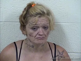 Mugshot of Terry Elizabeth Gray booked in Panola County, Mississippi on July 25, 2026