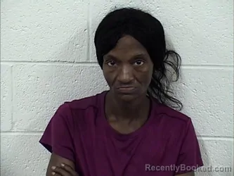 Mugshot of Veronica Catrise Heffner booked in Panola County, Mississippi on August 22, 2026
