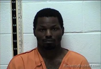 Mugshot of DOMINIQUE JORDAN WISE-PIERCE