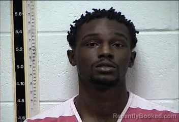 Booking photo from Pearl River County, Mississippi