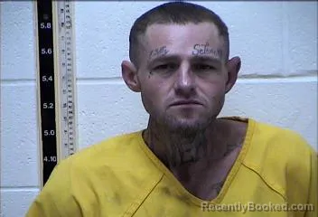 Mugshot of TYLER LEE SMITH