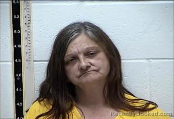 Mugshot of CHASITY LYNN HAMBURG