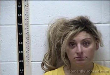 Mugshot of BRITTANY TERRENOVE PROCHASKA