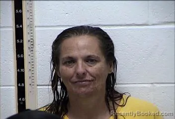 Mugshot of TAMMY LYNN SORENSEN
