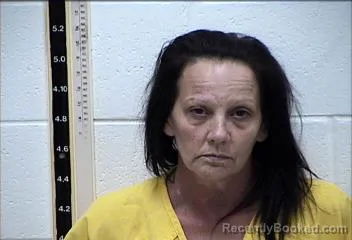 Mugshot of KELLIE NICOLE DAVIS