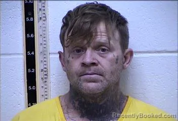 Mugshot of TRACY LAVAN   BARBER