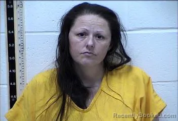 Mugshot of JENNIFER ANN MARTIN