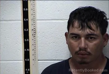 Mugshot of RODRIGO NAVARRETE NIETO