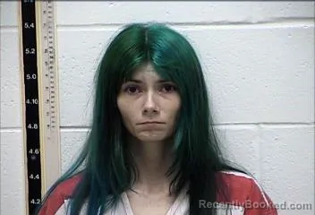 Mugshot of MARY ELIZABETH DILLARD