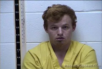 Mugshot of JACE RAYDEN ANDREW PHELPS