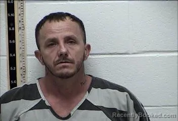 Mugshot of WALLACE LEE MAPLES