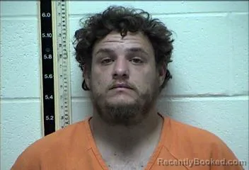 Mugshot of BRIAN EAVES