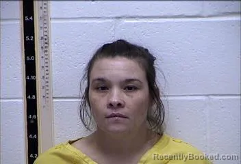 Mugshot of TINA MELINDA WALTERS