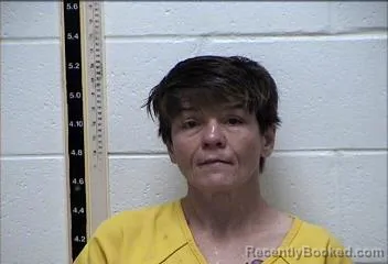 Mugshot of MARY CHRISTIAN GILBERT