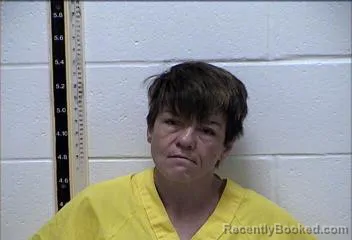 Mugshot of MARY CHRISTIAN GILBERT