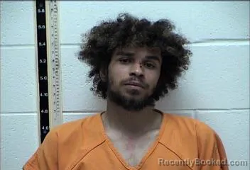 Mugshot of HEATH GAGE HARRISON