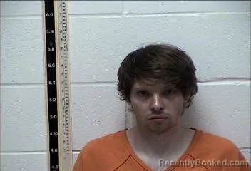 Mugshot of BRANDON WESLEY NELSON