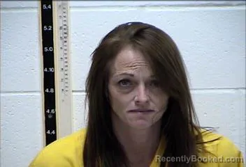 Mugshot of MEGAN MICHELLE  HOWELL