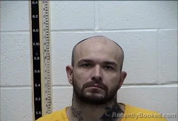 Mugshot of BRANDON LEE SHREWSBURY
