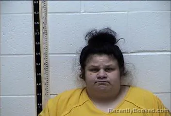 Mugshot of BRETT ASHLEY HAYES