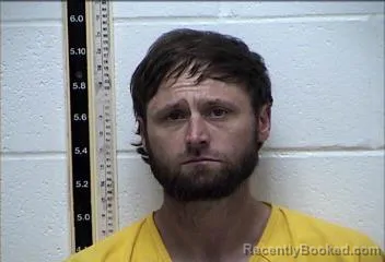 Mugshot of JAMES BRICE HERNDON