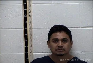 Mugshot of KELVIN EDEHILSO HERNANDEZ-MOZ booked in Pearl River County, Mississippi on April 17, 2026
