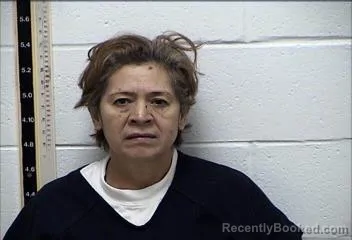 Mugshot of ELIZABETH DIAN-YANEZ booked in Pearl River County, Mississippi on April 20, 2026